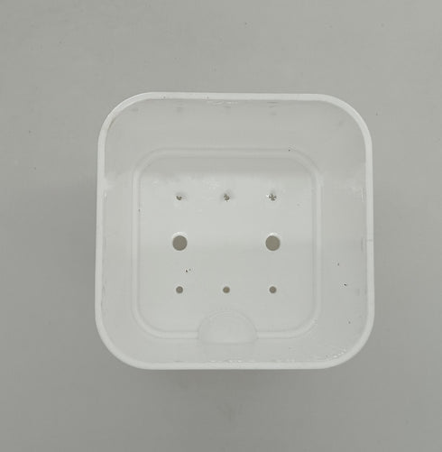 White Self Watering Pot