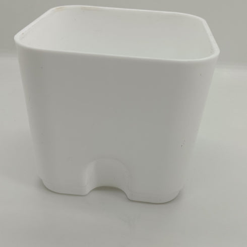 White Self Watering Pot