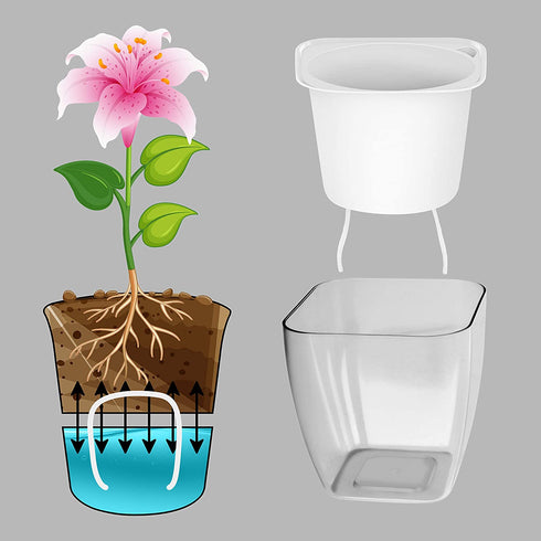 White Self Watering Pot
