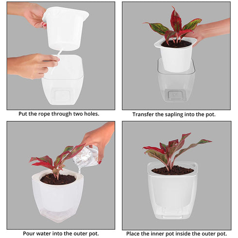 White Self Watering Pot