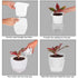 White Self Watering Pot