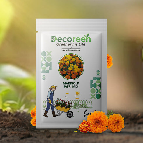 Marigold Jafri mix color flower seed