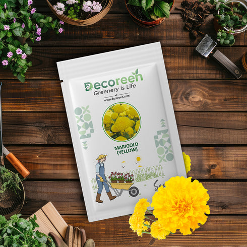 Marigold Yellow Flower Seeds Hybrid F1 Seeds All Season for Home Garden (50 Seeds)