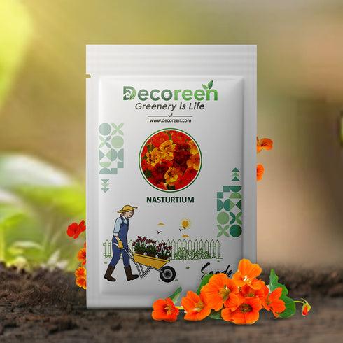 Nasturtium Alaska Mixed Color Flower F1 Seeds