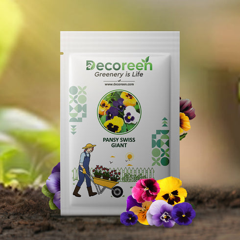 Pansy Swiss giant mixed Color 40-50 seeds