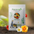 Iceland Poppy Mix Flower seeds