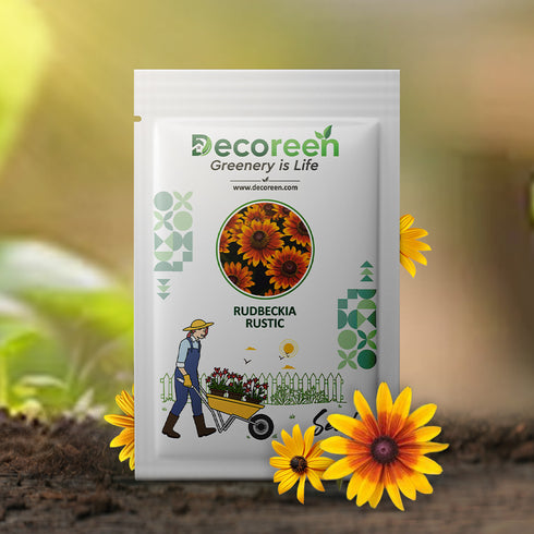 Rustic Dwarf Flower seeds pack of 50 seeds F1