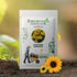 Sunflower Miniature Flower Seeds (Pack Of - 50 Seeds)