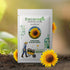 Sunflower Giant Surajmukhi Flower Seeds