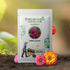 Zinnia Lilliput Mix Seeds