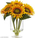 Sunflower Giant Surajmukhi Flower Seeds