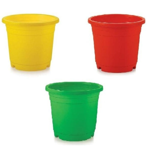 Nursery Pot (6 inch) Color
