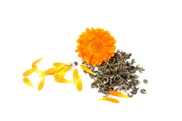 Calendula Officinalis - OP Flower Seeds