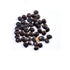 Acacia Nilotica, Babul, Kikar ( 1 kg ) - Seeds