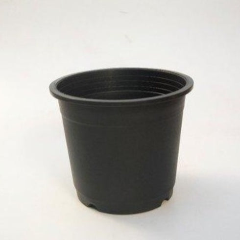 Nursery Pot (6 inch) Black