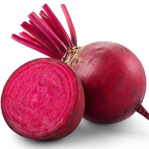 Beet Root - OP Vegetable Seeds