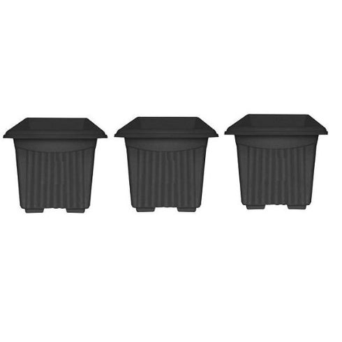 Square Plastic Planter (6 inches)
