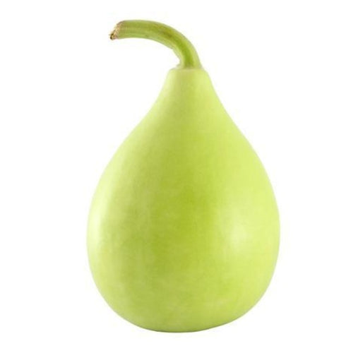 Bottle Gourd (Bulb) - OP Vegetable Seeds