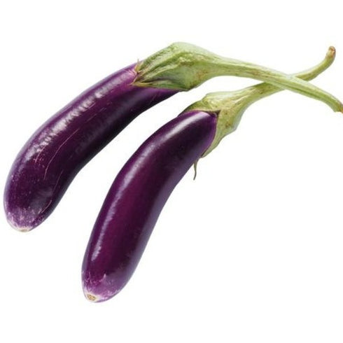 Brinjal (Purple Long) - OP Vegetable Seeds