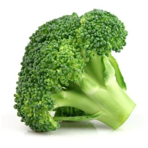 Broccoli - OP Vegetable Seeds