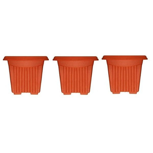 Square Plastic Planter (6 inches)