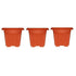 Square Plastic Planter (6 inches)