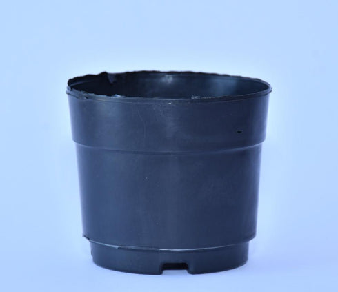 Nursery Pot (4 inch) Black