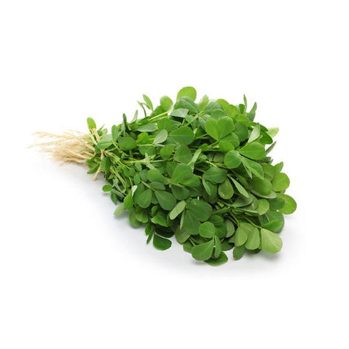 Fenugreek (Methi / Metha) - OP Vegetable Seeds