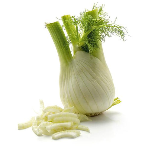Fennel Montavano - Exotic OP Herb Seeds