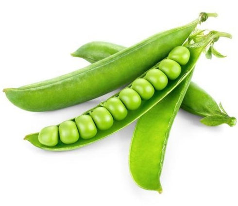 Peas - OP Vegetable Seeds