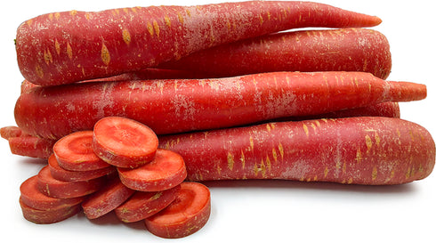 Red Carrot - OP Vegetable Seeds
