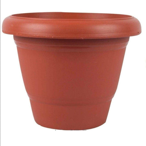 Premium Plastic Pot - 12 inch