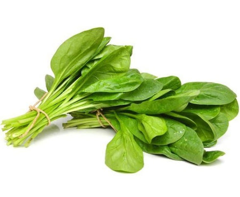 Spinach - OP Vegetable Seeds