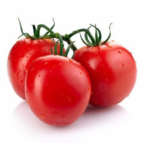 Tomato - OP Vegetable Seeds