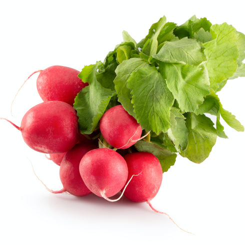 Turnip (Red) - OP Vegetable Seeds