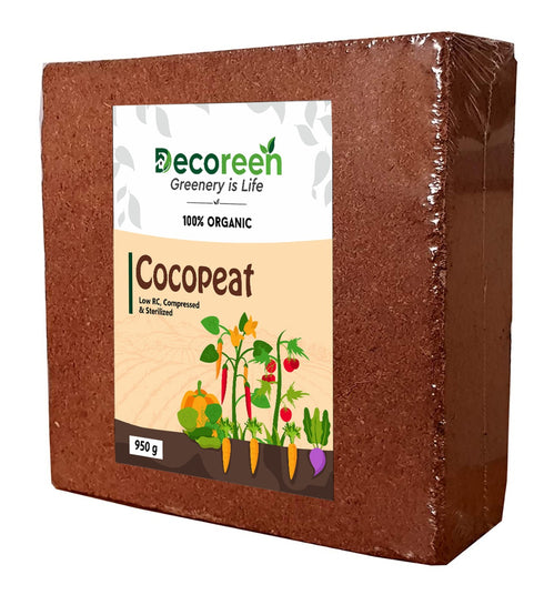 Cocopeat Block