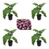 Live Tomato plant Chili plant Brinjal plant pack of 12