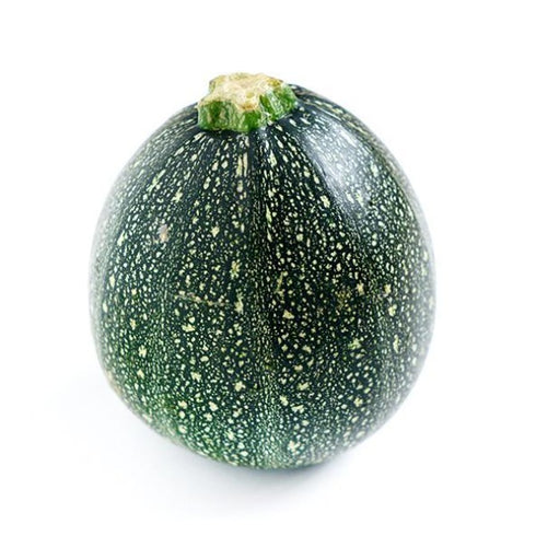 Zucchini (Green Round) - OP Vegetable Seeds