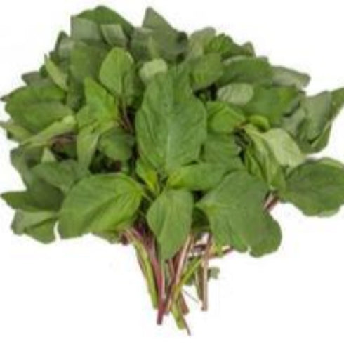 Amaranthus Green - OP Vegetable Seeds
