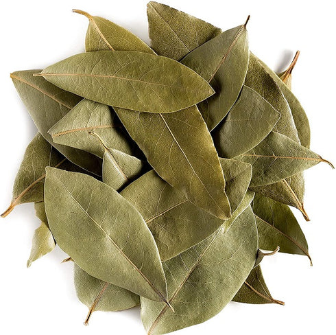 Tej Patta / Bay Leaf / True Cinnamon Plant - (<em>Laurus nobilis</em>)