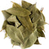 Tej Patta / Bay Leaf / True Cinnamon Plant - (<em>Laurus nobilis</em>)