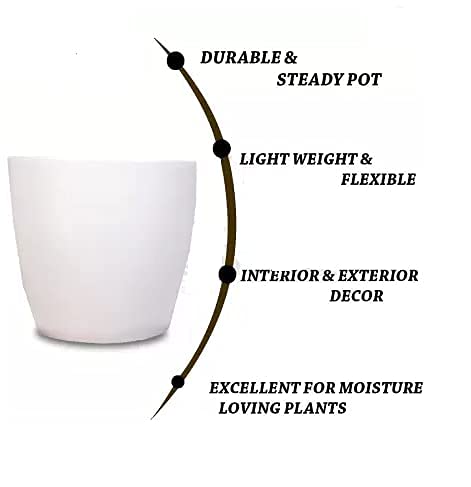 Emerald Pot (8 inch)