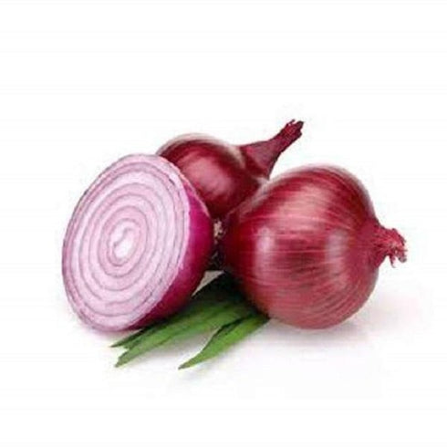 Red Onion (लाल प्याज) - Allium cepa - desi vegetable seeds