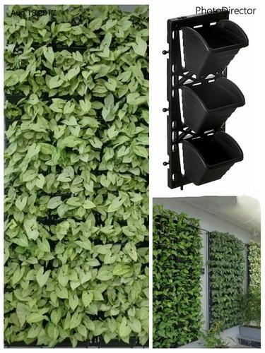 Vertical Garden Bio Panel With 3 Pots (21*7 inch)